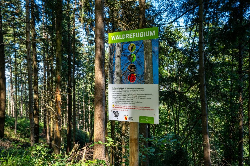 Gemeinsam mit dem Forstamt Baden-Baden hat das Nachhaltigkeitsteam des SWR3 New Pop Festivals das regionale „Schutzprojekt der Zukunft Waldrefugium” ins Leben gerufen. (Foto: Ronny Krautz)